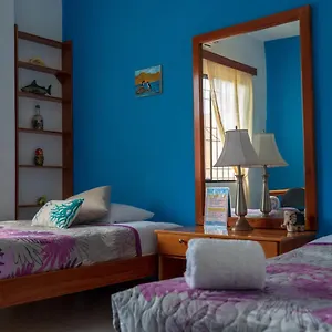 book here
